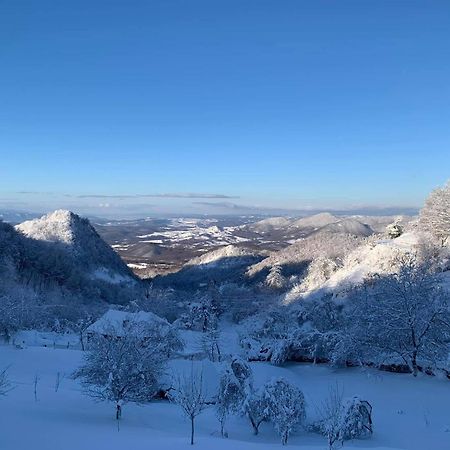 Vila Anastasia Săcărîmbu エクステリア 写真