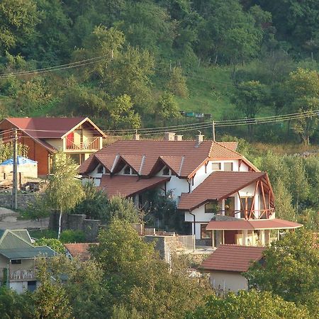 Vila Anastasia Săcărîmbu エクステリア 写真