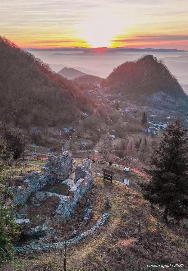 Vila Anastasia Săcărîmbu エクステリア 写真