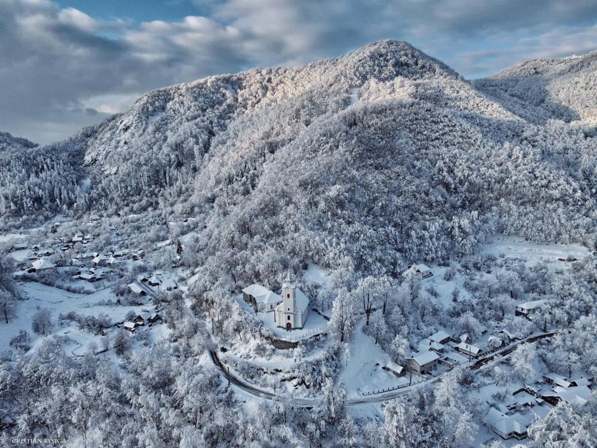 Vila Anastasia Săcărîmbu エクステリア 写真