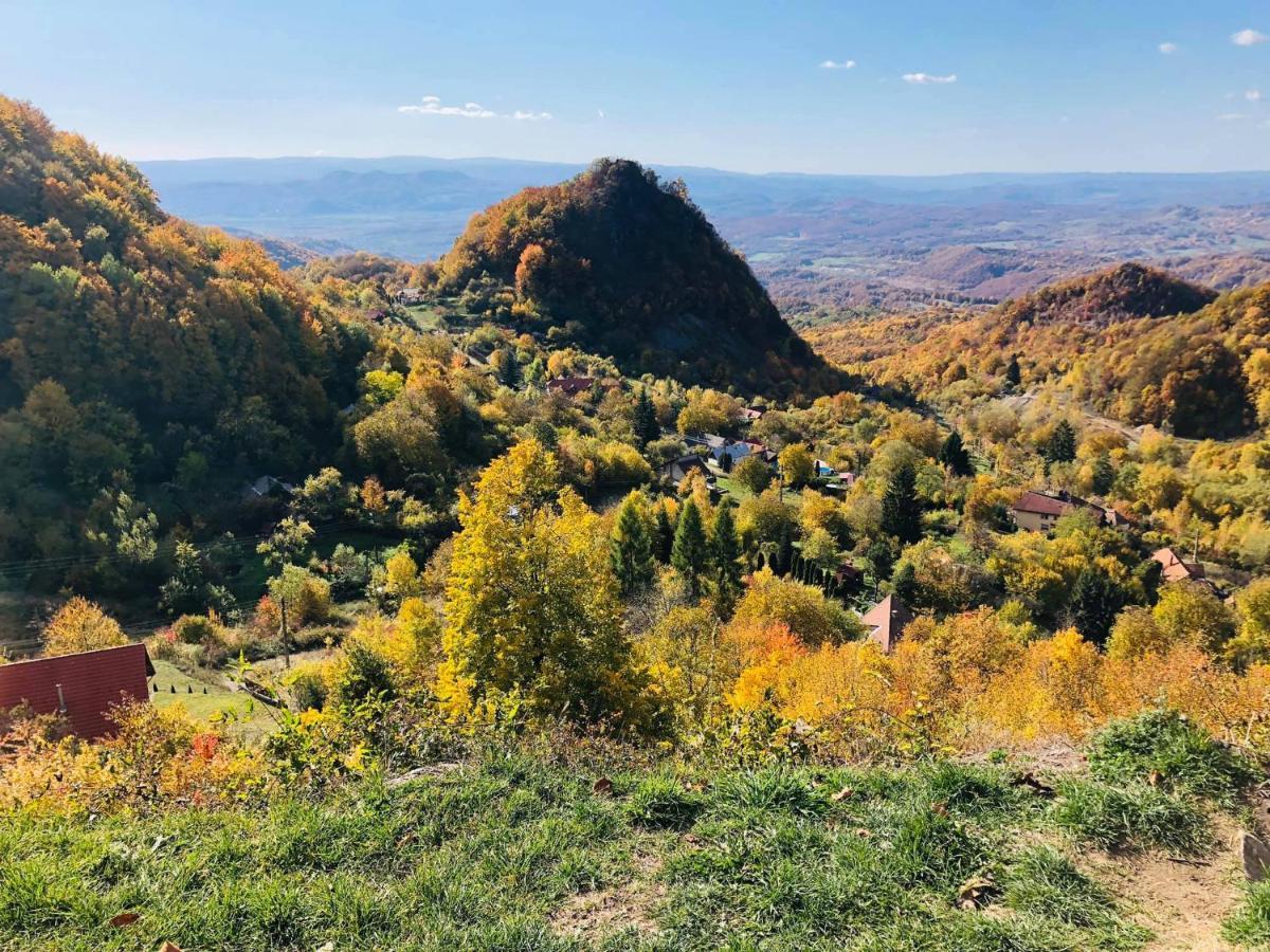 Vila Anastasia Săcărîmbu エクステリア 写真