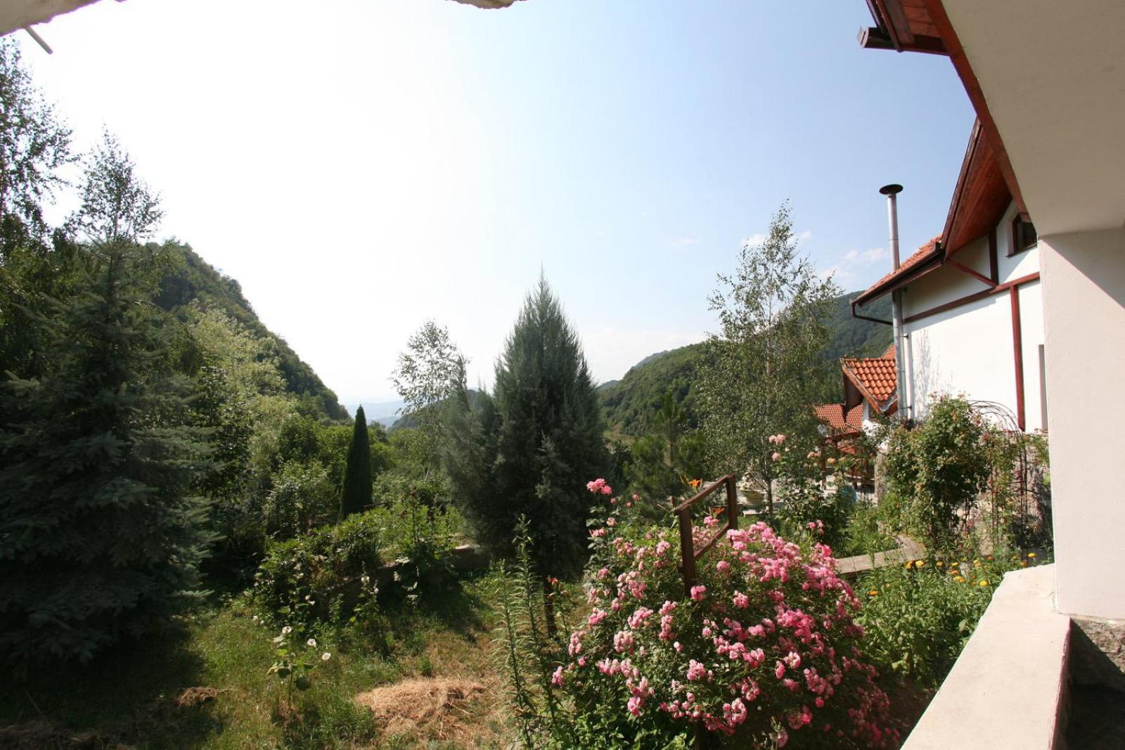 Vila Anastasia Săcărîmbu エクステリア 写真