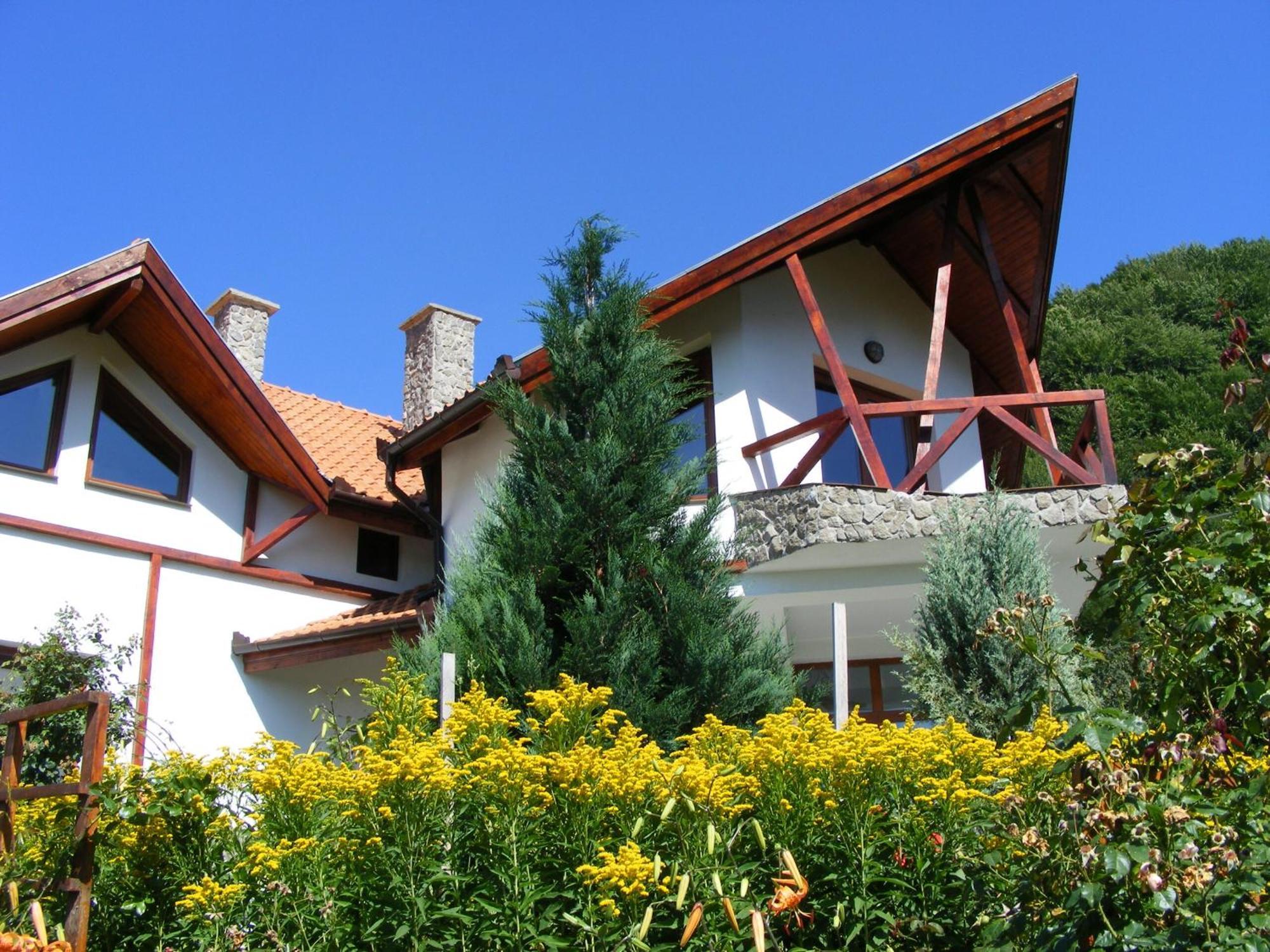 Vila Anastasia Săcărîmbu エクステリア 写真
