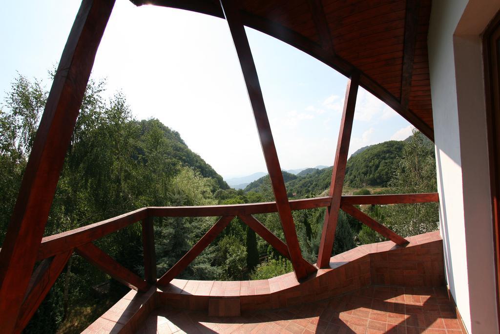 Vila Anastasia Săcărîmbu エクステリア 写真
