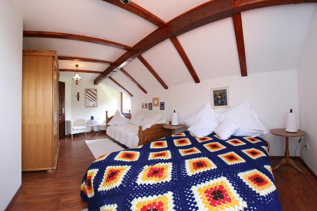Vila Anastasia Săcărîmbu 部屋 写真