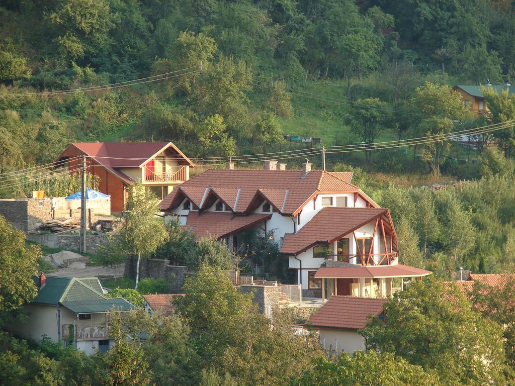 Vila Anastasia Săcărîmbu エクステリア 写真